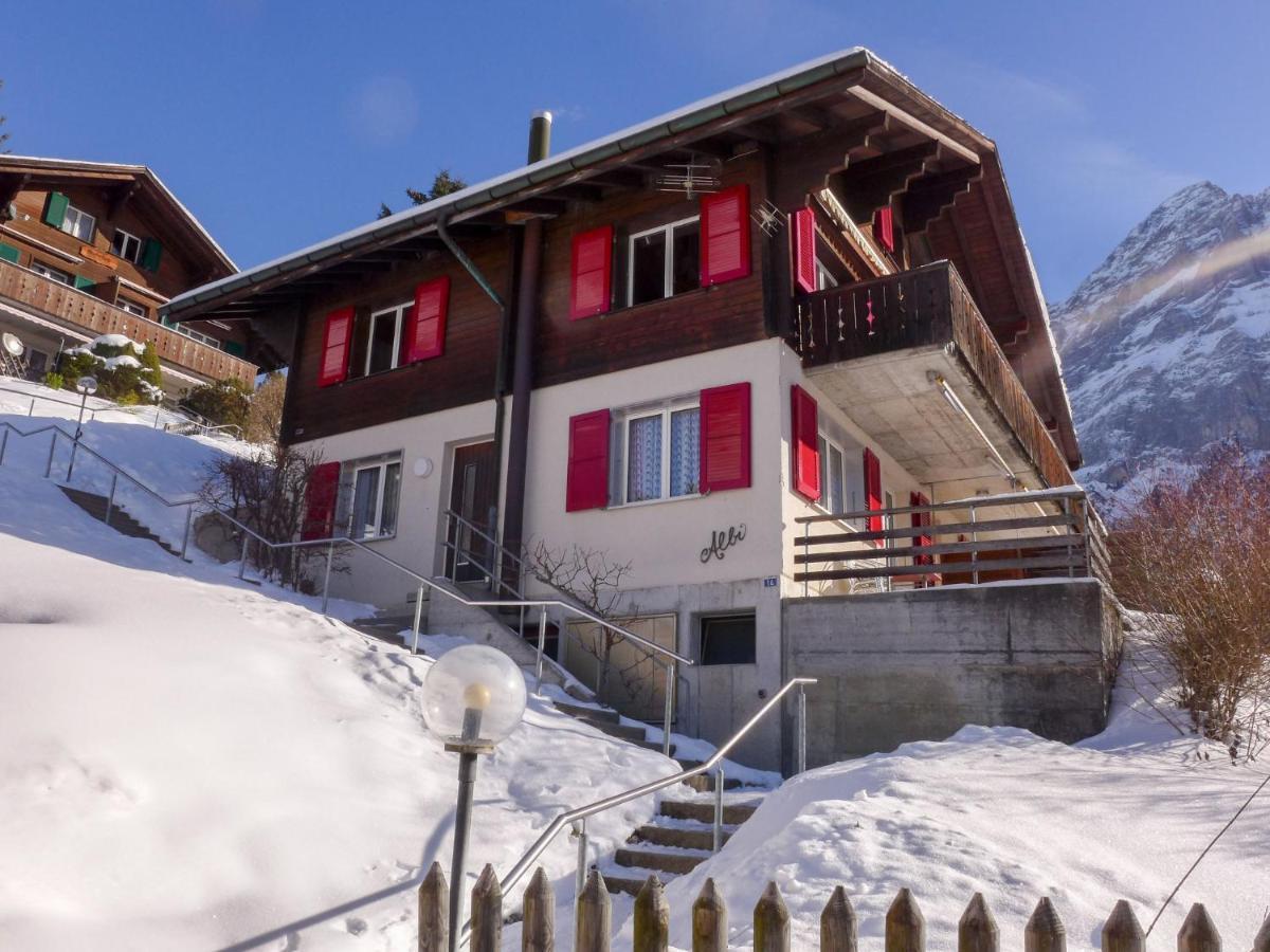 Apartment Chalet Albi By Interhome Grindelwald Kültér fotó