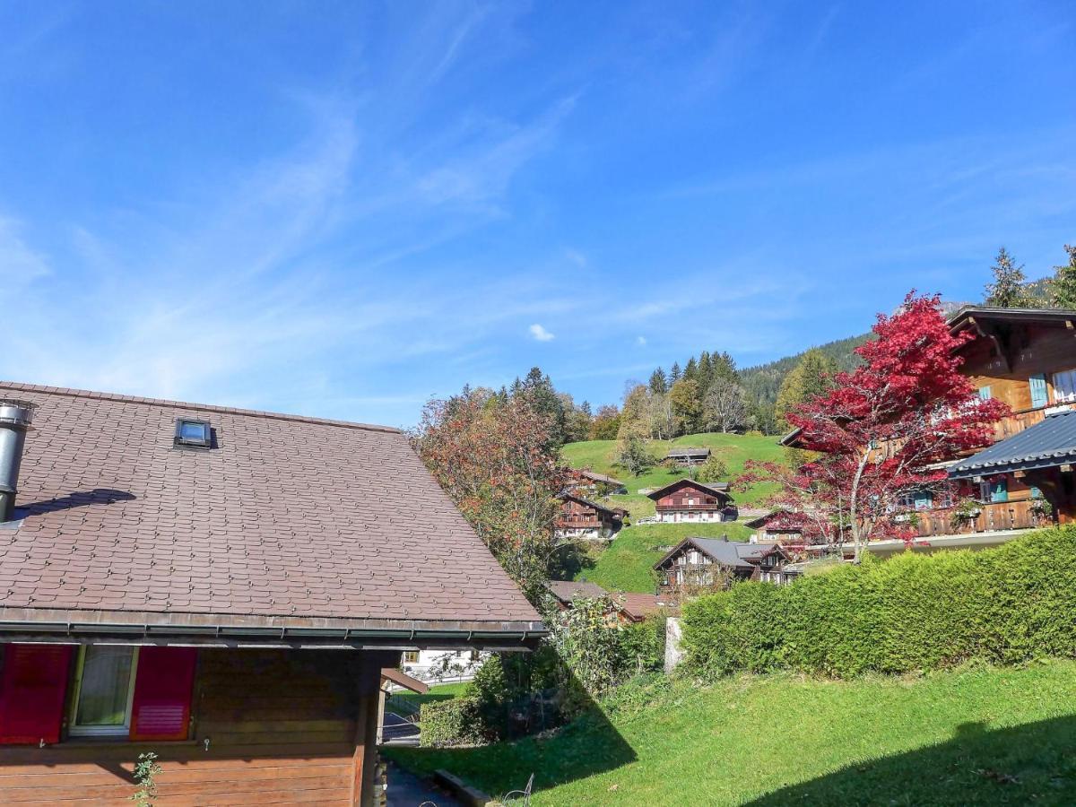 Apartment Chalet Albi By Interhome Grindelwald Kültér fotó