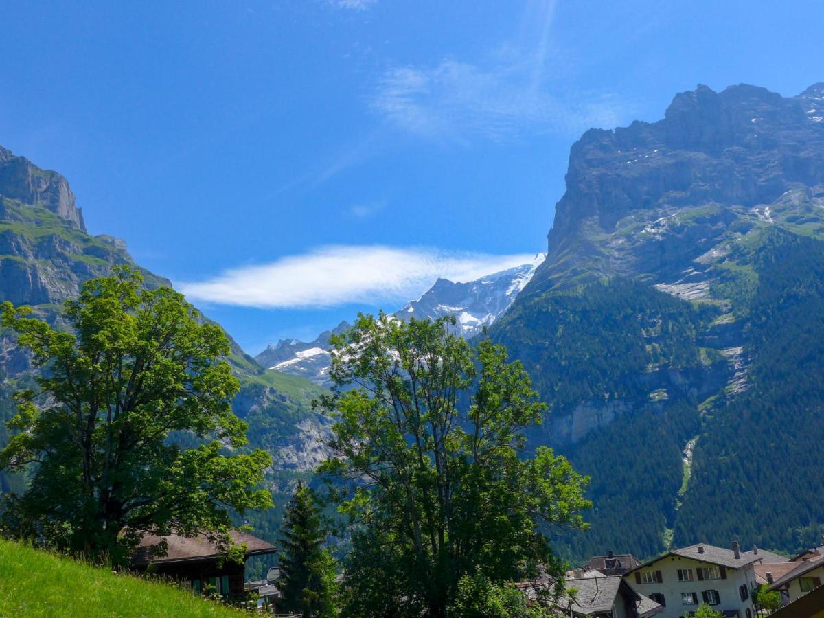 Apartment Chalet Albi By Interhome Grindelwald Kültér fotó