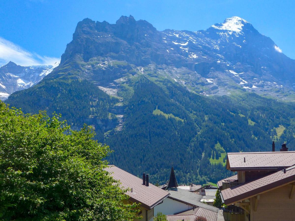 Apartment Chalet Albi By Interhome Grindelwald Kültér fotó