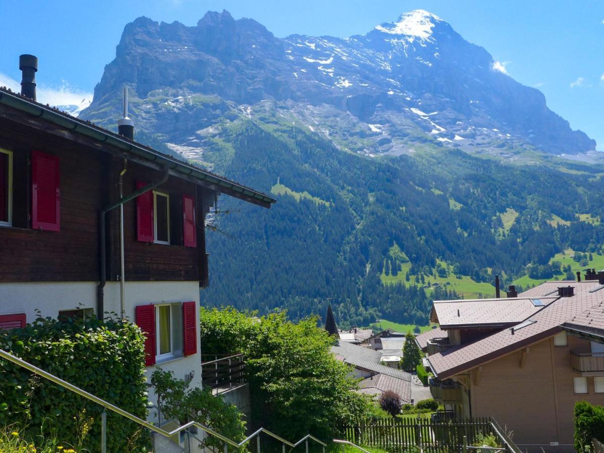 Apartment Chalet Albi By Interhome Grindelwald Kültér fotó