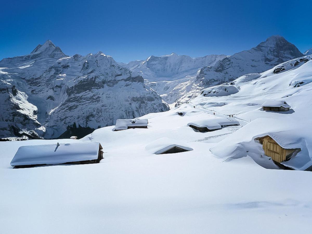 Apartment Chalet Albi By Interhome Grindelwald Kültér fotó