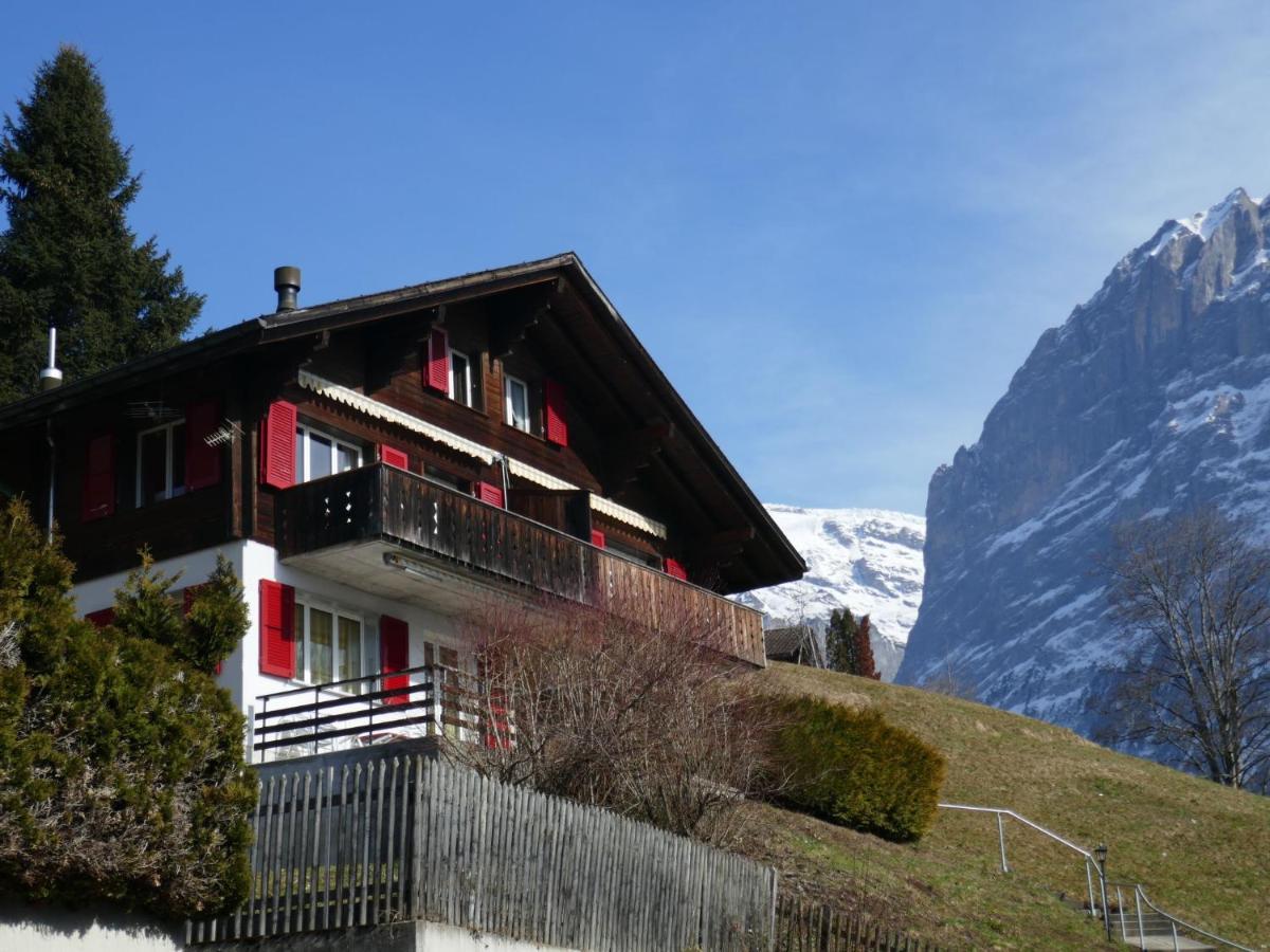 Apartment Chalet Albi By Interhome Grindelwald Kültér fotó